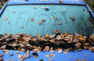 october-frost-1432444-m